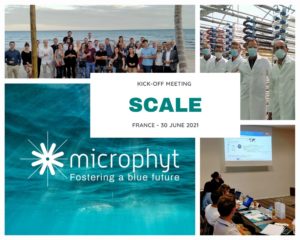 Scale Kick-Off Meeting