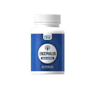 Encephalon